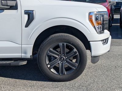 2023 Ford F-150 — photo 11 view