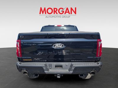 2025 Ford F-150 - Photo 4