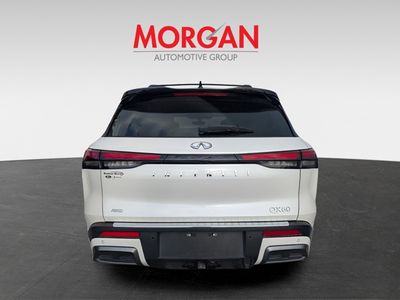 2023 INFINITI QX60 - Photo 4