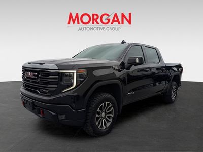 2023 GMC Sierra 1500 - Photo 6