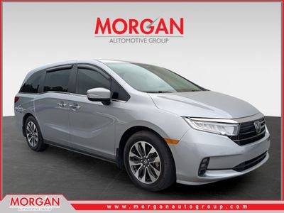 2024 Honda Odyssey - Photo 1