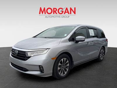 2024 Honda Odyssey - Photo 7