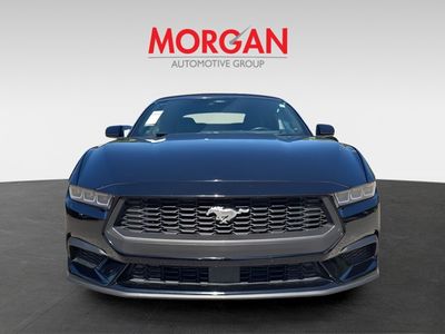 2024 Ford Mustang - Photo 3