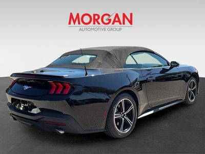 2024 Ford Mustang - Photo 8