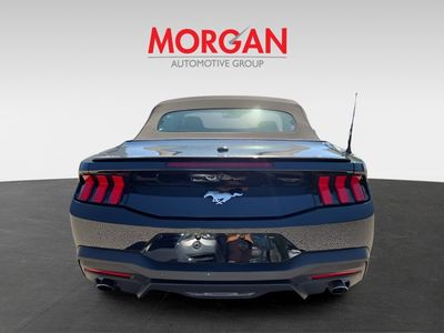 2024 Ford Mustang - Photo 7
