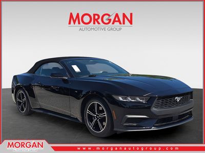 2024 Ford Mustang - Photo 1