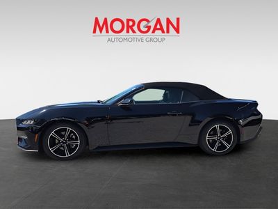 2024 Ford Mustang - Photo 5
