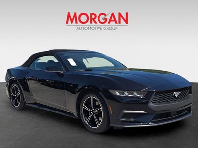 2024 Ford Mustang - Photo 2