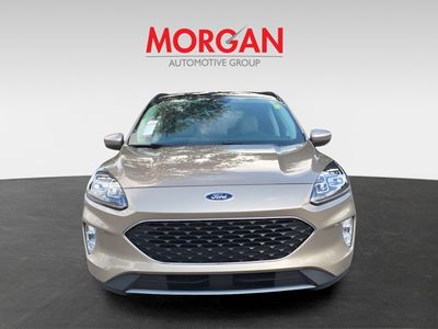 2021 Ford Escape Hybrid - Photo 2