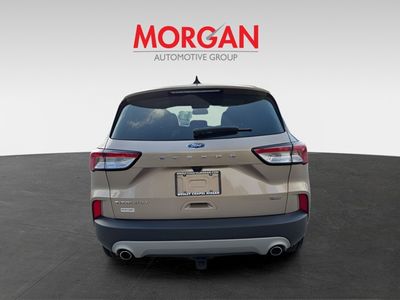 2021 Ford Escape Hybrid - Photo 6