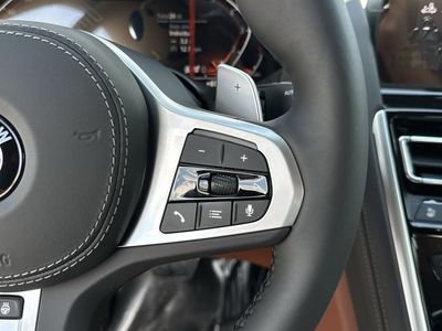 2026 BMW 8 Series - Photo 28
