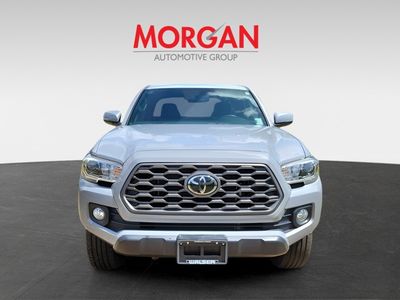 2020 Toyota Tacoma - Photo 5