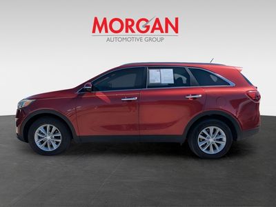 2017 Kia Sorento - Photo 5