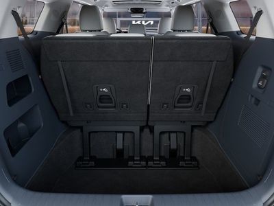 2026 Kia Carnival — photo 19 view