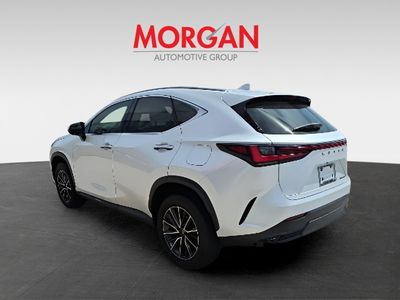 2023 Lexus NX - Photo 6