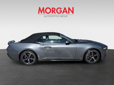 2024 Ford Mustang - Photo 3