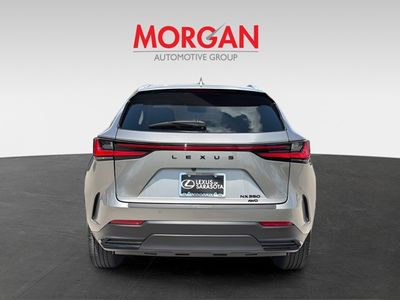 2025 Lexus NX - Photo 4
