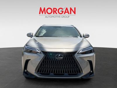 2025 Lexus NX - Photo 8