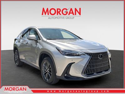 2025 Lexus NX - Photo 1