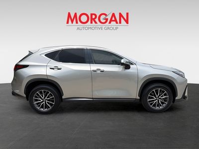 2025 Lexus NX - Photo 2