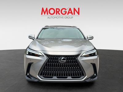 2025 Lexus NX - Photo 8
