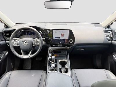 2025 Lexus NX - Photo 16