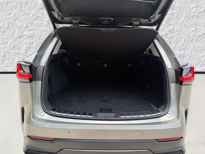 2025 Lexus NX - Photo 12
