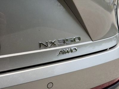2025 Lexus NX - Photo 11