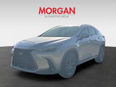 2025 Lexus NX - Photo 7