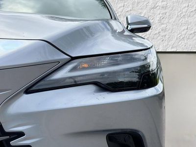 2025 Lexus RX - Photo 9