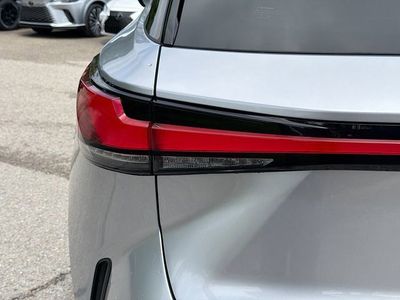 2025 Lexus RX - Photo 10