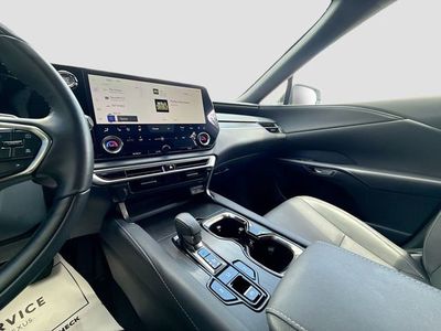 2025 Lexus RX - Photo 29