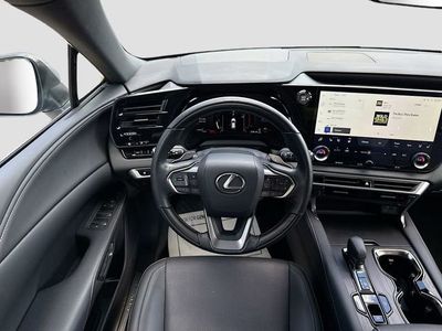 2025 Lexus RX - Photo 18