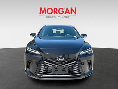 2024 Lexus RX - Photo 8
