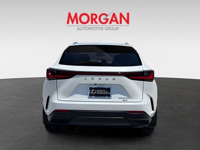 2025 Lexus NX - Photo 4