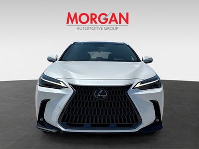 2025 Lexus NX - Photo 8