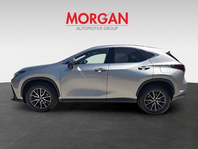 2024 Lexus NX - Photo 6