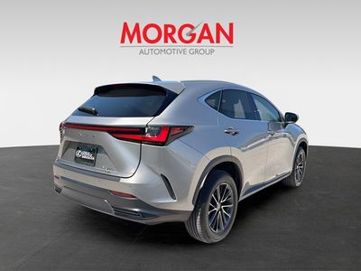 2024 Lexus NX - Photo 3