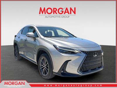 2024 Lexus NX - Photo 1