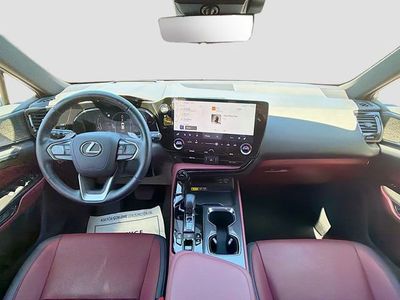 2024 Lexus NX - Photo 16
