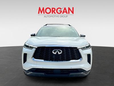 2023 INFINITI QX60 - Photo 8