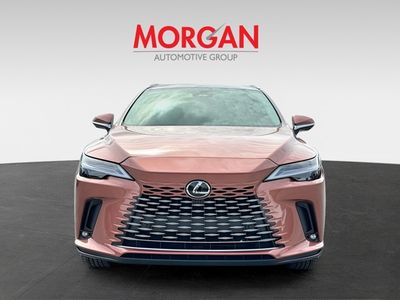 2026 Lexus RX - Photo 8