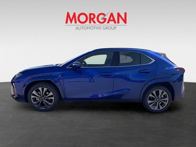 2025 Lexus UX - Photo 6