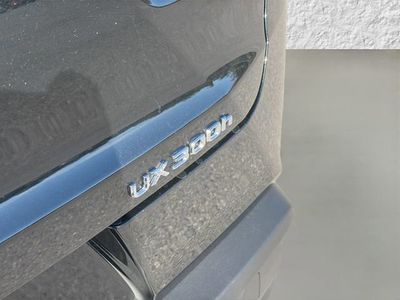 2025 Lexus UX - Photo 11
