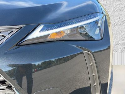 2025 Lexus UX - Photo 9