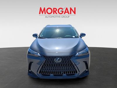 2026 Lexus NX - Photo 2