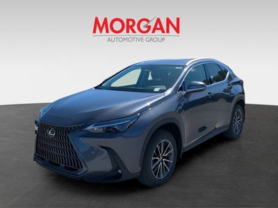 2026 Lexus NX - Photo 8