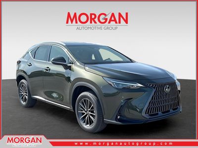 2026 Lexus NX - Photo 1