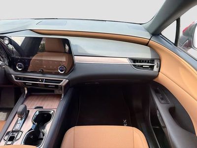 2026 Lexus RX - Photo 19