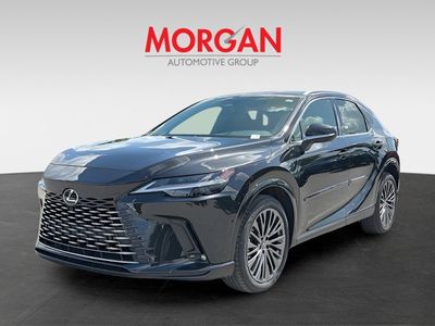 2026 Lexus RX - Photo 7